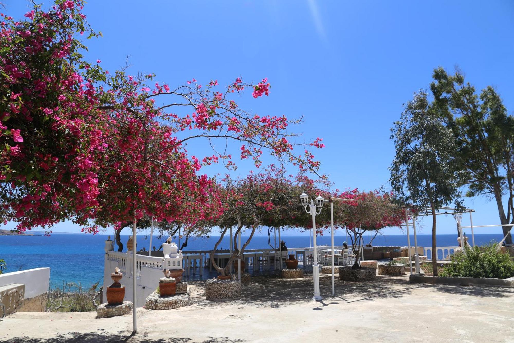 Kathys Island Retreat Aparthotel Adia Exterior foto